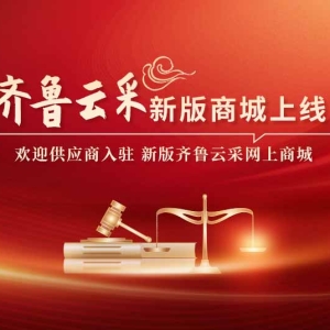 山东省财政厅加快推进政府采购数字化发展政策综述